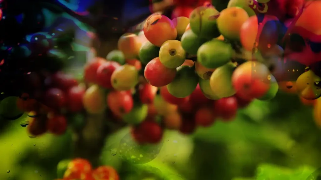 Decreto 638/2024: Cambios Clave en la Secretaría de Bioeconomía del Ministerio de Economía